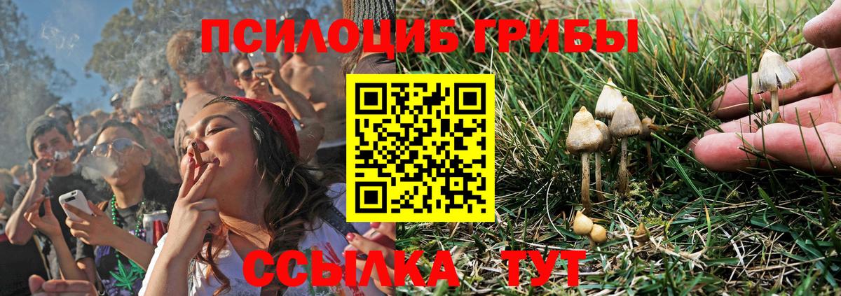 Уссурийск  Галлюциногенные грибы мухоморы  Вход с VPN 