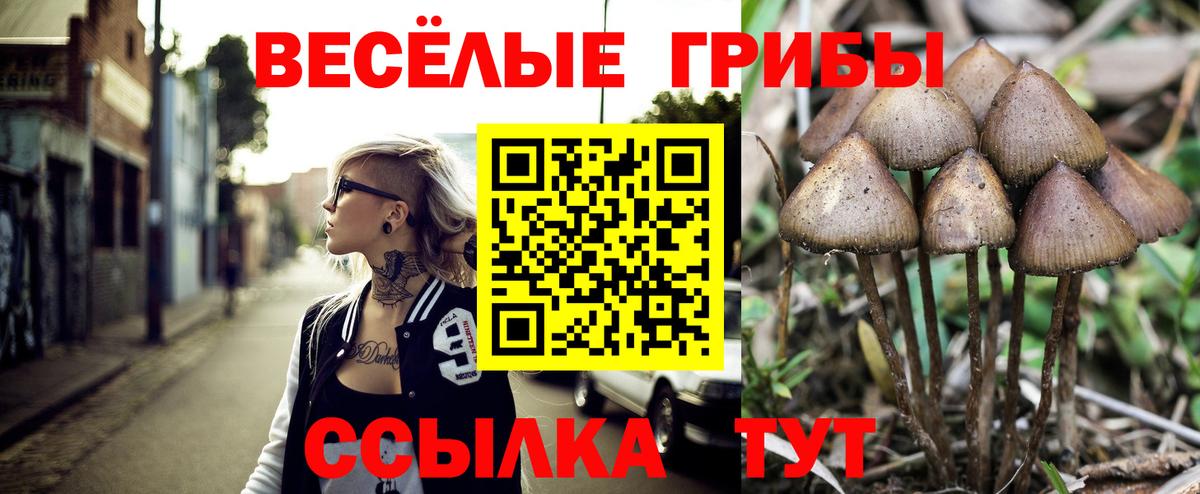 Галлюциногенные грибы Psilocybine cubensis Уссурийск